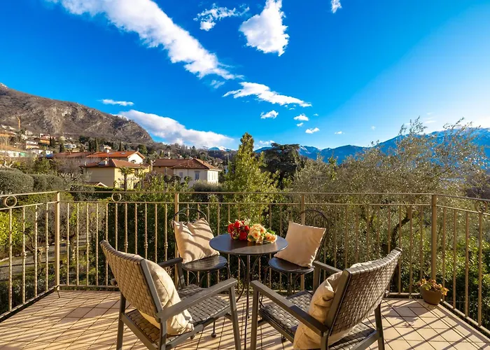 Tulipani 11 - 트레메쪼