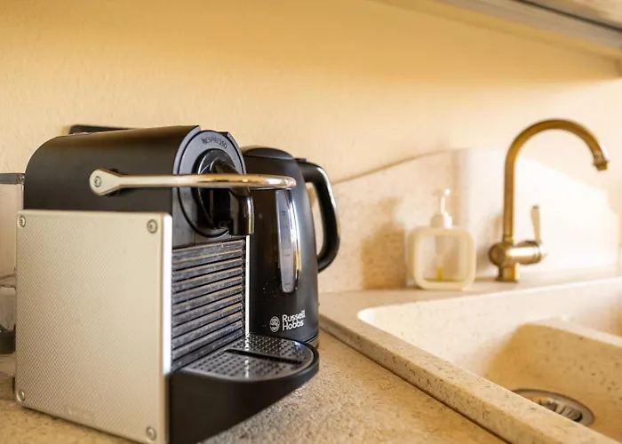 Tulipani 11 - * 트레메쪼